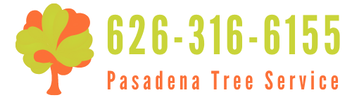 Tree Service | Tree Trimming & Tree Removal in Pasadena, CA